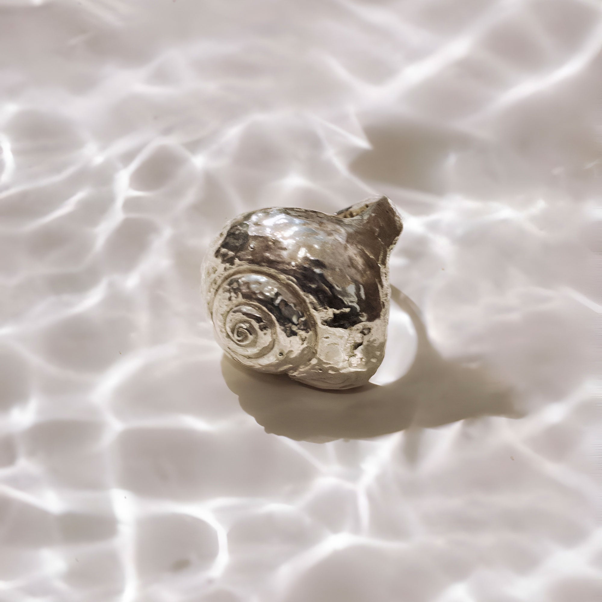 Alhaja Ring Caracola, Silber