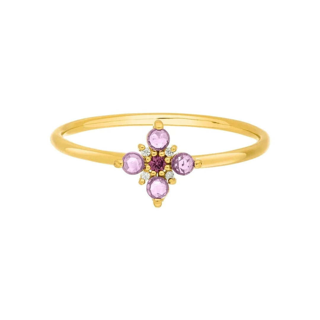 Leaf Ring Bloom, Amethyst/Rhodolith, vergoldet