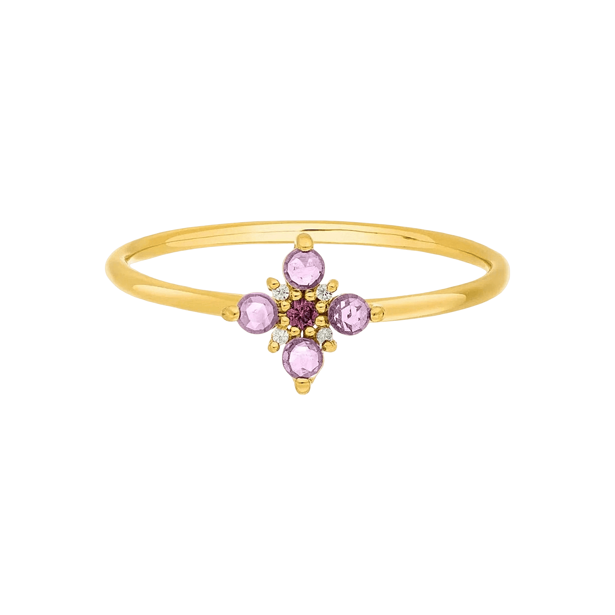 Leaf Ring Bloom, Amethyst/Rhodolith, vergoldet