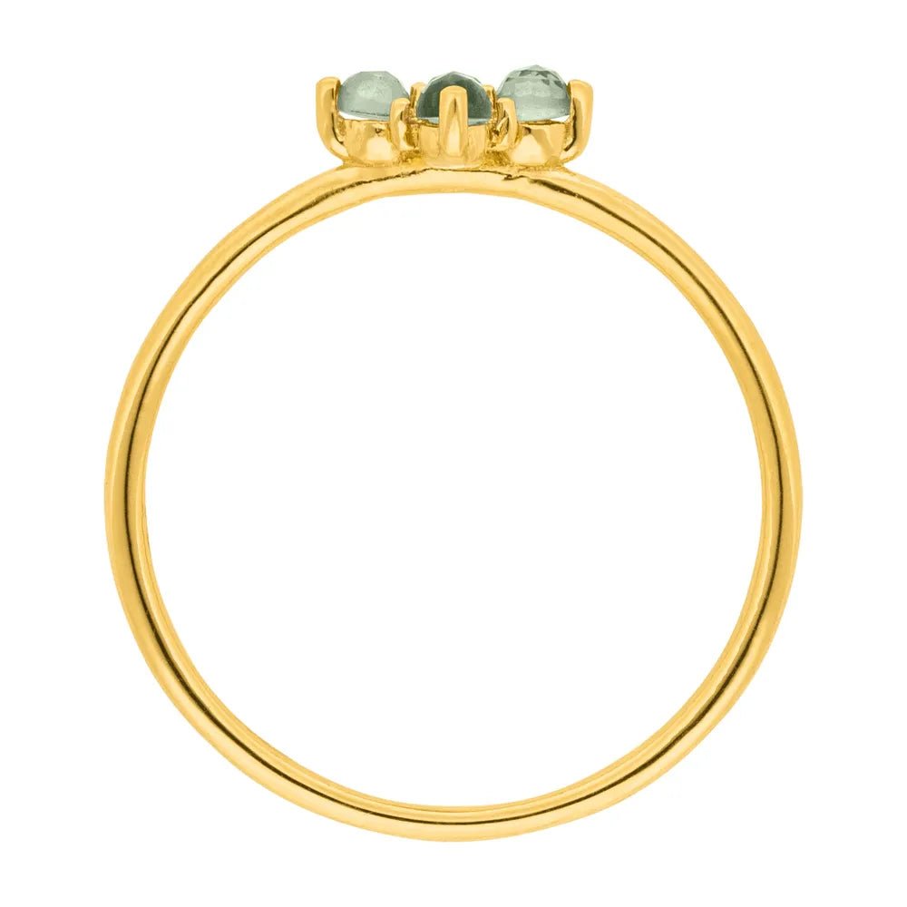 Leaf Ring Bloom, Labradorit/Aventurin, vergoldet