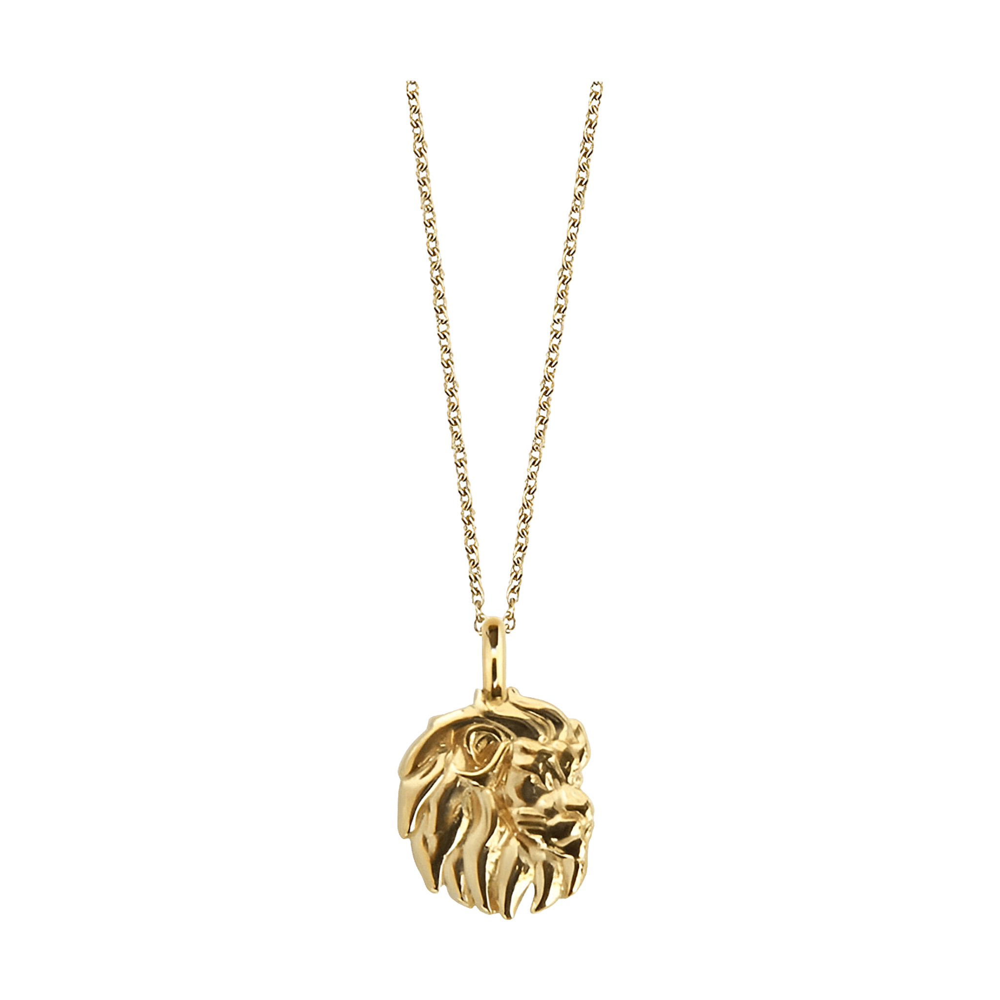 Jeberg Jewellery Kette Sternzeichen Löwe, vergoldet