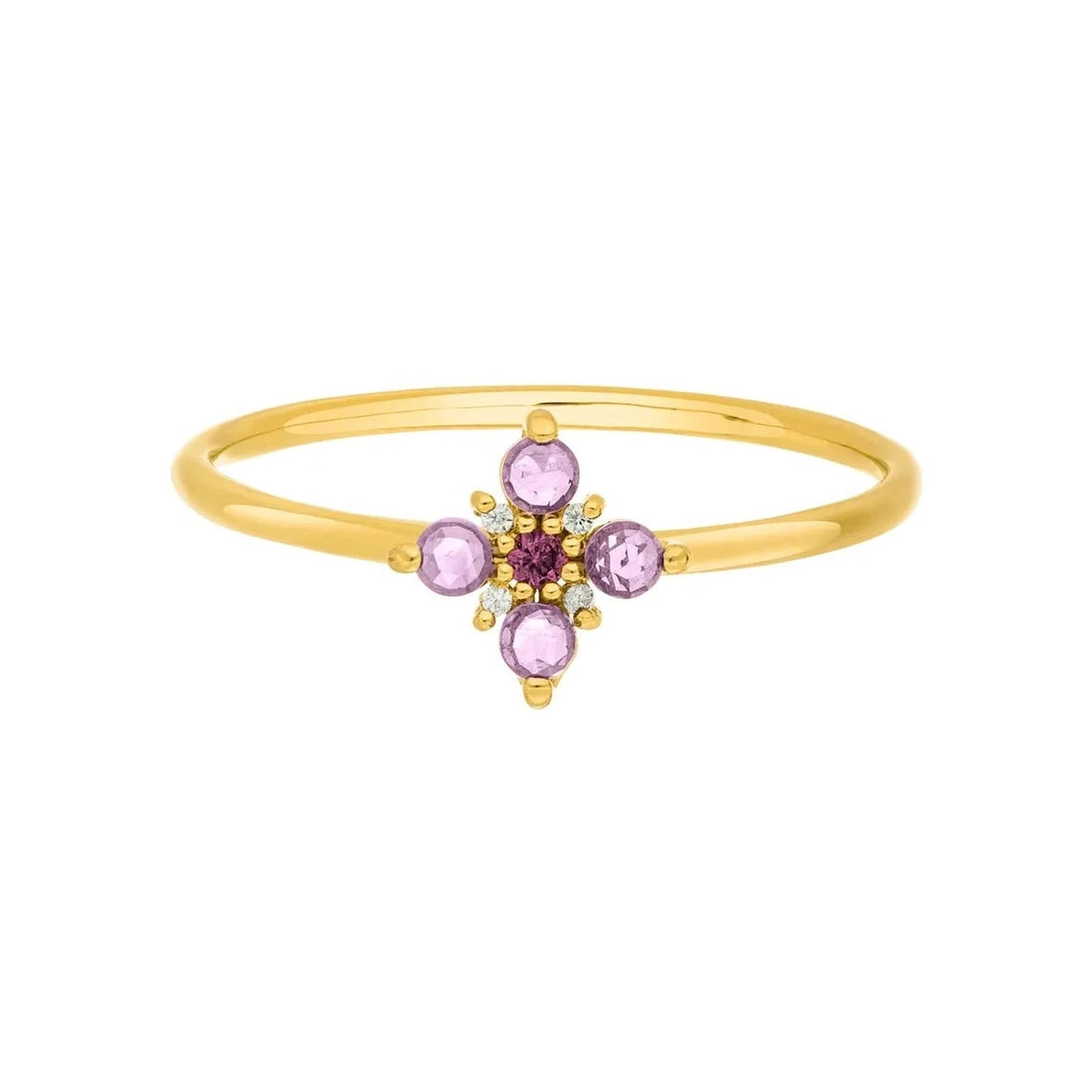 Leaf Ring Bloom, Amethyst/Rhodolith, vergoldet