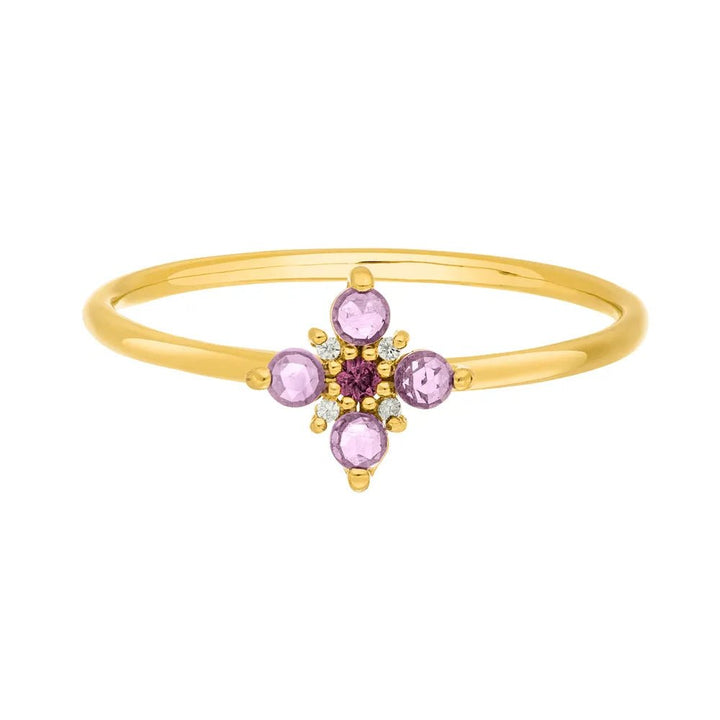 Leaf Ring Bloom, Amethyst/Rhodolith, vergoldet