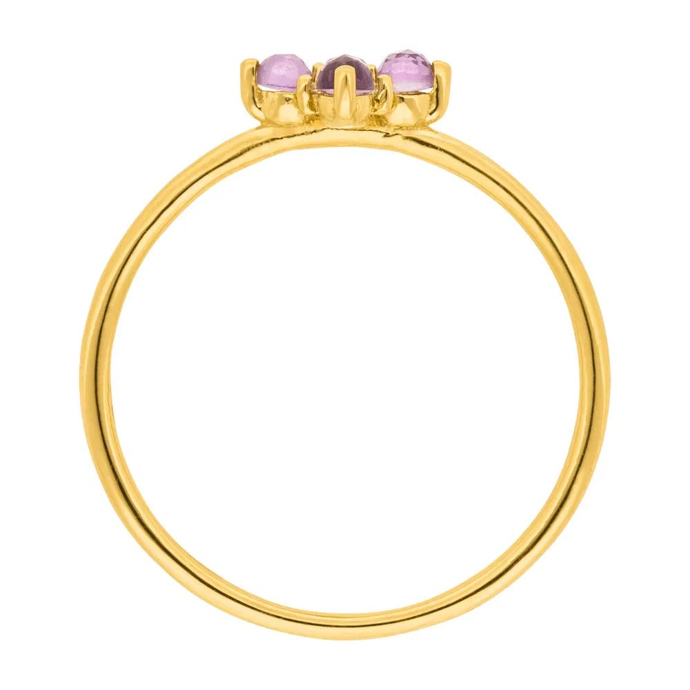 Leaf Ring Bloom, Amethyst/Rhodolith, vergoldet