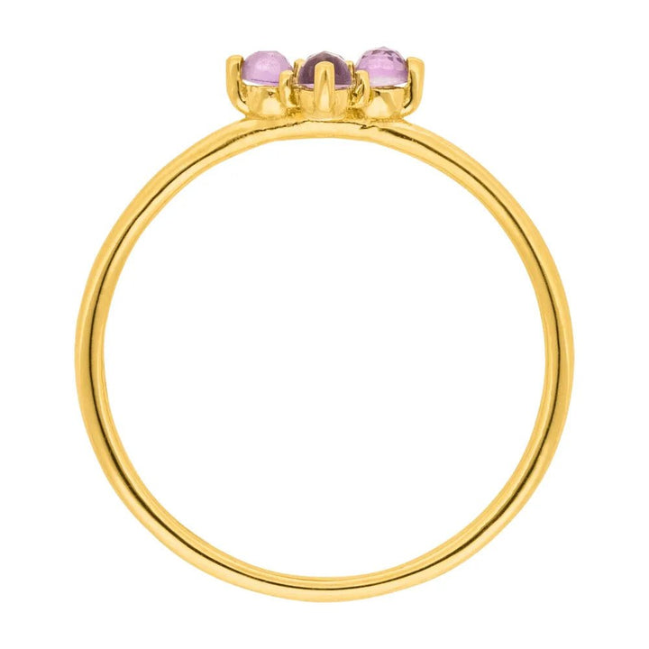 Leaf Ring Bloom, Amethyst/Rhodolith, vergoldet