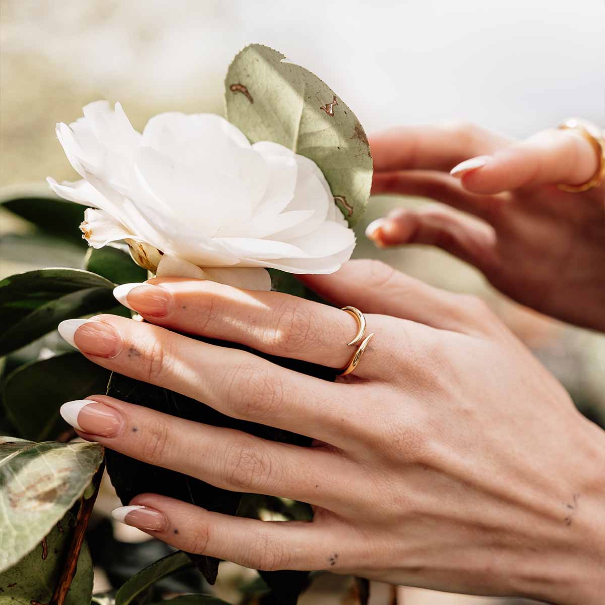 Pukka Berlin Ring Tembo Crossover, vergoldet